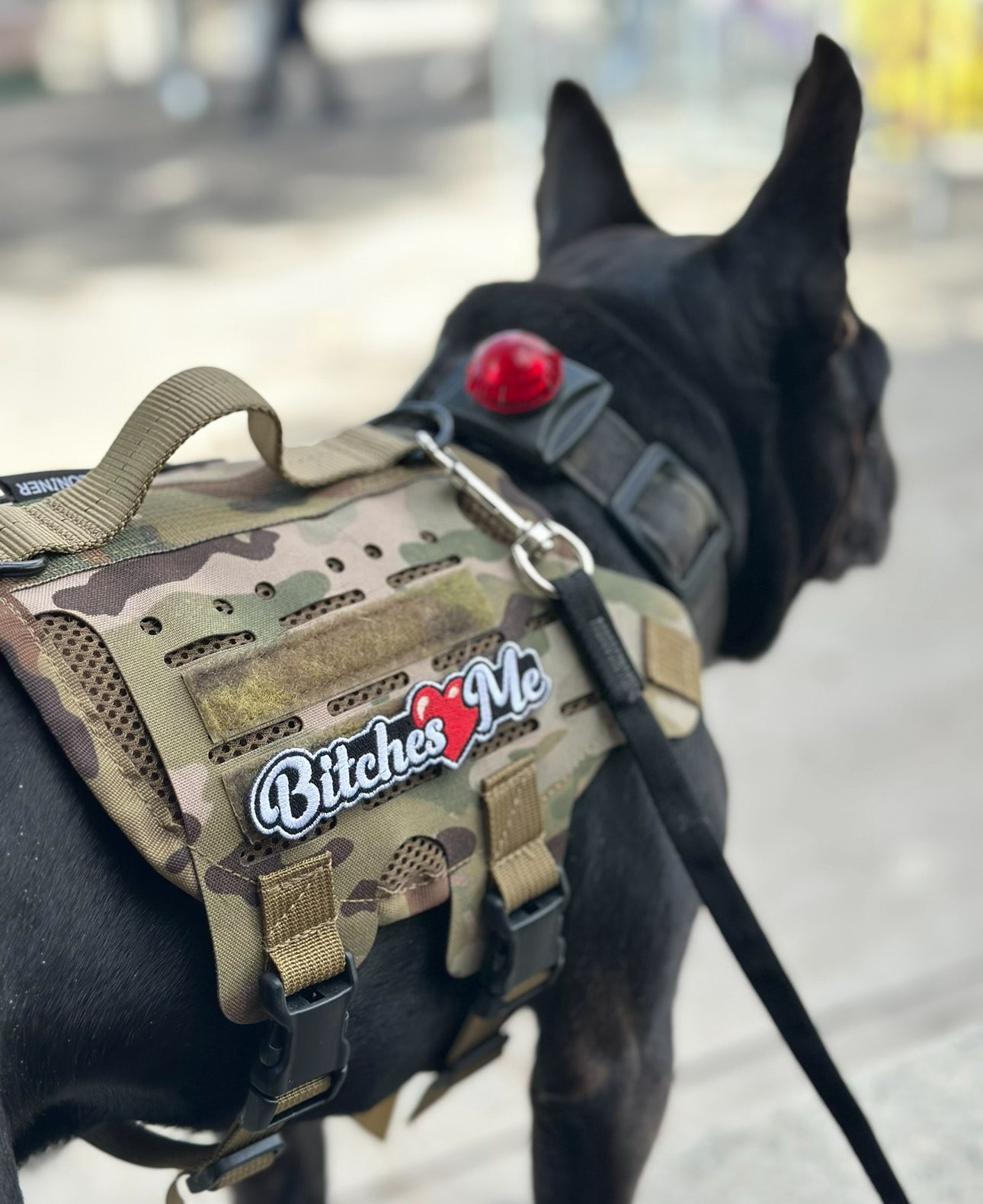 Bitches Love Me Morale Patch