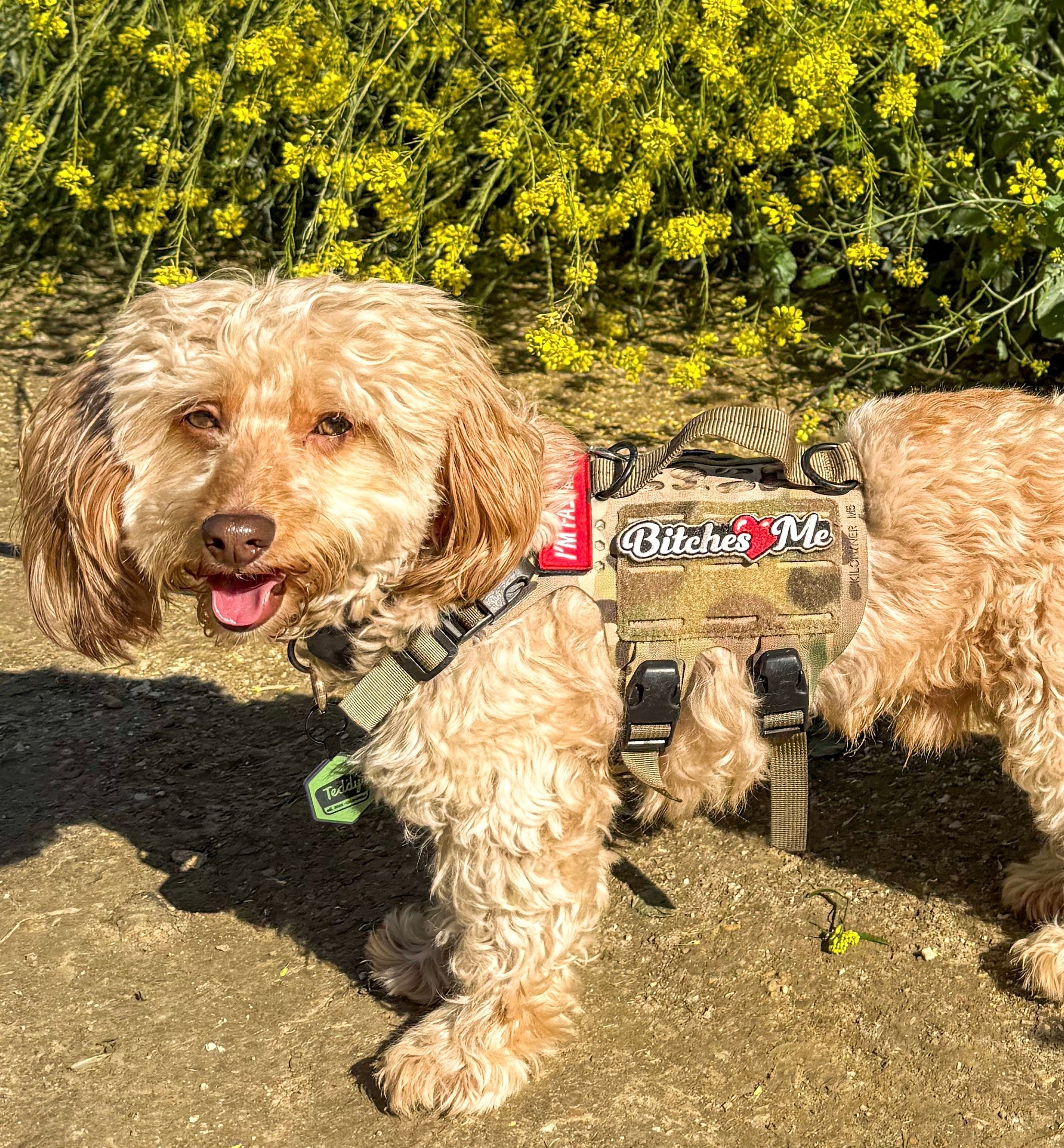 Bitches Love Me Morale Patch