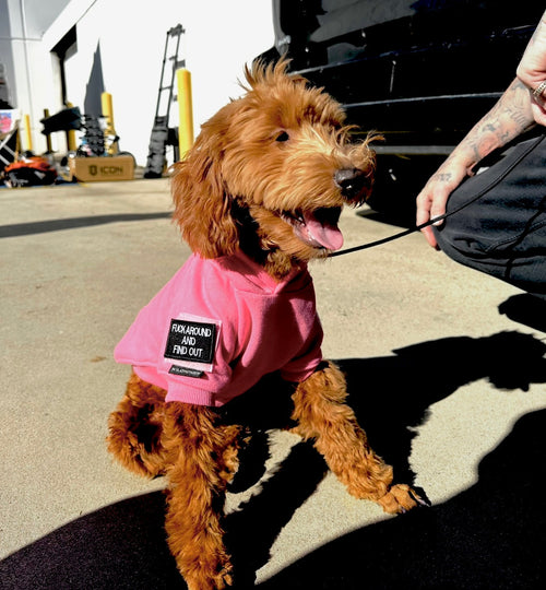 Big Dog Tactical Pull-Over Hoodie